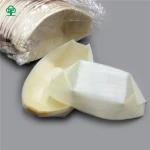 Hot selling disposable wooden sushi boat with low price