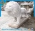 Import hot selling garden western hand carved nature stone marble lion sculpture for sale from China