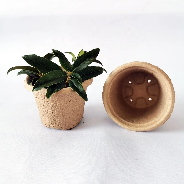 Hot selling product biodegradable paper plant seed cup seed tray seedling raising cup