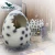 Import Hot selling!!High Quality Expanding Dinosaur Egg Toys from China