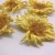 Import HYO4083 Huang lian hua healthy and natural yellow lotus flower with good quality dried flower tea from China