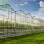 Import Intelligent Control System Large Size Glass Panel Covering Glass Greenhouse from China