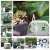 Import KAMOER Mobile phone control garden automatic watering system Succulents plant Drip irrigation tool water pump timer system from China