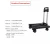 Import 50KG Capacity Black Support ABS Hooks Folding Shopping Hand Cart Trolley from China