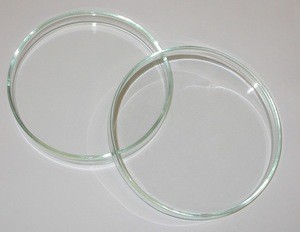 Lab sterile plastic disposable type petri dish 35mm 60mm 70mm 90mm 150mm