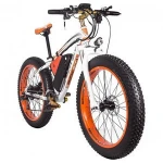 LCD Display Electric Mountain Bike - 1000W Motor