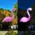 Import LED Solar Flamingo Lawn Lamp Garden Light Simulated Waterproof Solar Led Outdoor For Garden Decoration from China