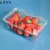 Import Lettuce crisper clamshell fruit containers plastic packaging for living lettuce from China