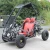 Import Lingsun Wholesale 110cc Go kart for adults and kids buggy 110cc with 2 seat from China
