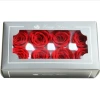 luxury and colorful preserved fresh stabilizing flower for european fresh flower importers