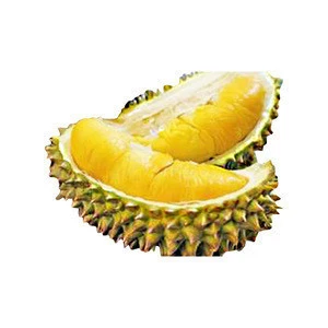 Malaysia Import Fresh Whole Musang King / D197 Durian