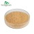 Import Manufacturer Suppliers Beer Barley Hydrolyzed Dry Bulk Powder Malted Black Malt Extract Malt Extract from China