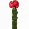 Mini cactus succulent artificial succulent plant