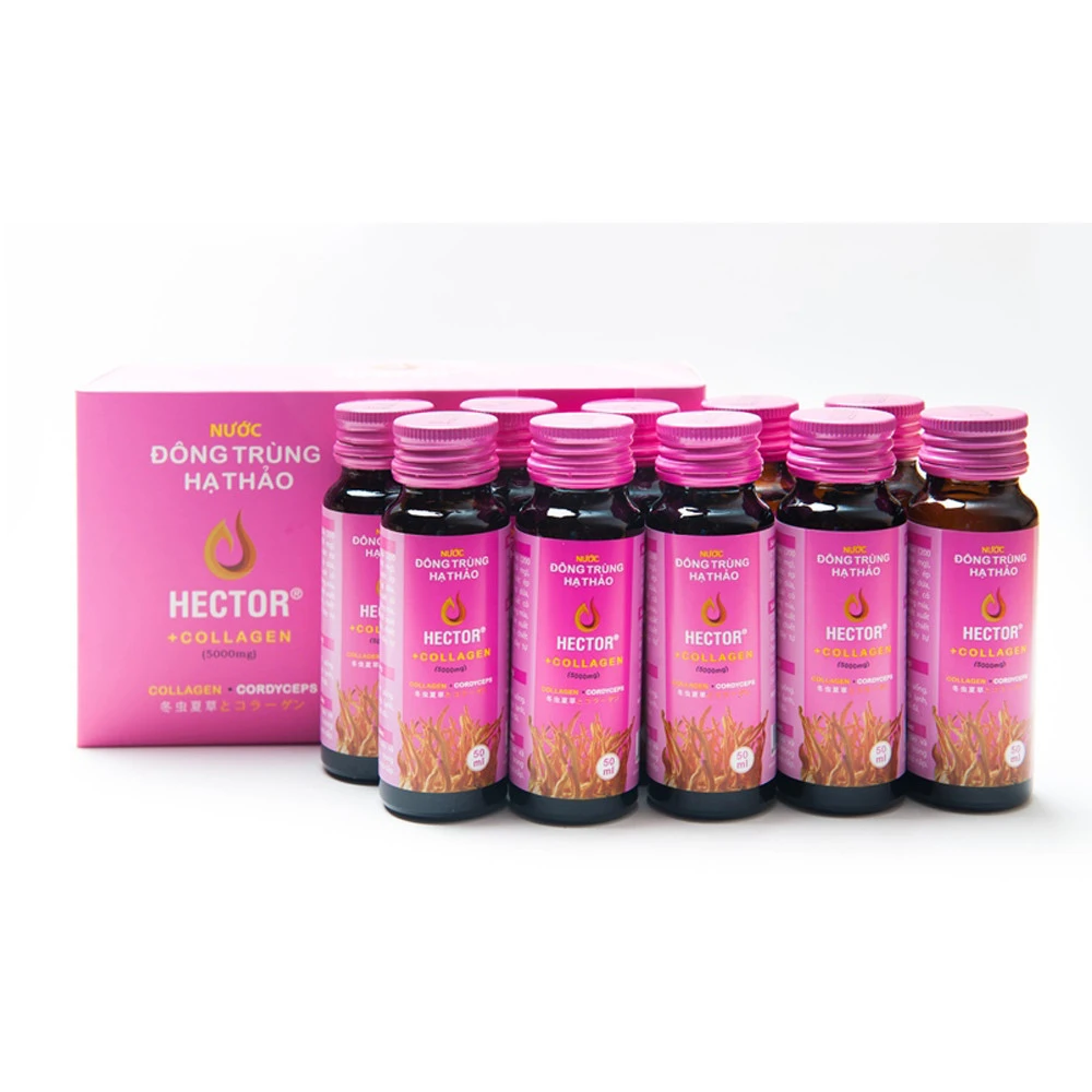 Mixed Collagen Cordyceps Energy Drink For Women / High Quality Energy Drink From Vietnam For Wholesale Export