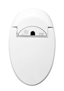 Modern Temperature Control Tankless Electronic Toilet ZJZ1200