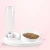 Import More Cute Pet RTS Eco-Friendly Pet PP Double Bowl Height Adjustable Best Selling Automatic Pet Food Feeder from China