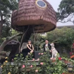 Mushroom Hut House Forest Tree House Resort Hotel Internet Celebrity Paid B&B Houseboat Outdoor Windproof Bracket Play House for Kid