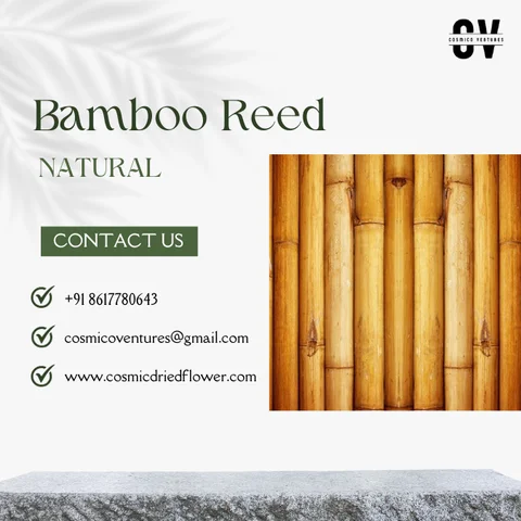 Buy 100% Natural Eco-friendly Raw Bamboo Sticks Poles Original Reed ...