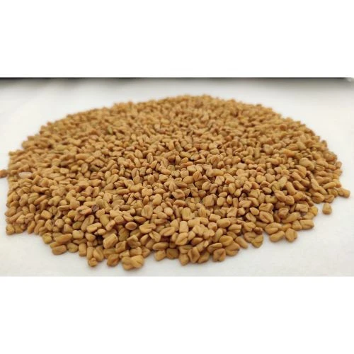 Natural Fenugreek Seed single spice for export in all form whole /powder