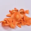 Natural products chinese vegetable dried dehydrated carrot
