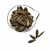 Import New Crop Best Quality Walnut Flavored Sunflower Seeds On Sale Different Flavor Salted Sunflower Seed from China