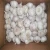 Import New crop low price Supply Fresh White Garlic fresh onion and garlic from China