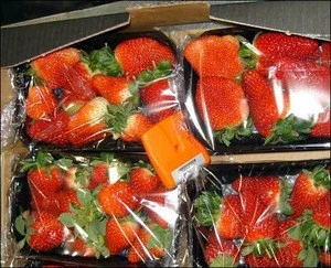 New crop price for strawberry fresh high quality