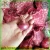 Import New crop red onion from China