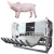 New Design Pig dehair machine pig slaughtering equipment