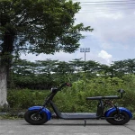 New EEC COC 2000w 60v 20ah lithium battery fat tire citycoco 2000 citycoco parts