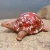 Import new garden decoration of ceramic snail ornament from China