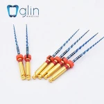 New launched autoclave sterilization endo box dental endodontic instruments equipment