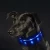 New Pet Products Reflective USB Rechargeable Led Flashing Dog Collar