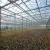 Import nursery farming grow facility agriculture greenhouse from China