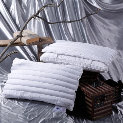 OEKO polyester fiber &amp; nature buckwheat 5 stars hotel neck pillow