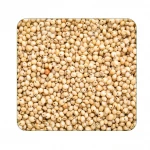 Organic Sorghum Rice / Grains and Millet Wholesale Supplier India