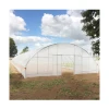 Other greenhouse cold frame green house hydroponic agricultural greenhouse / invernaderos