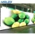 Import Outdoor Large-scale Leasing Activity Stage Background 4.81mm LED Display from China
