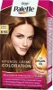 Palette / Diadem / hair dye /staining / toning / Woman / hair care