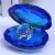 Import Personalized Crystal Glass Shell Diamond Wedding Favors Souvenir Gift for Guests from China