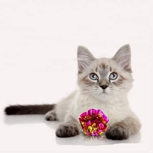 Pet products 2018 colorful crinkle cat paper balls toys funny kitten cats confetti ball toys