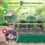 Import Plastic preservation seedling tray nursery sprout trays/sprouting planting pot from China