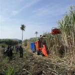 Popular in Philippine sugar cane harvester/low price sugarcane cutting machine