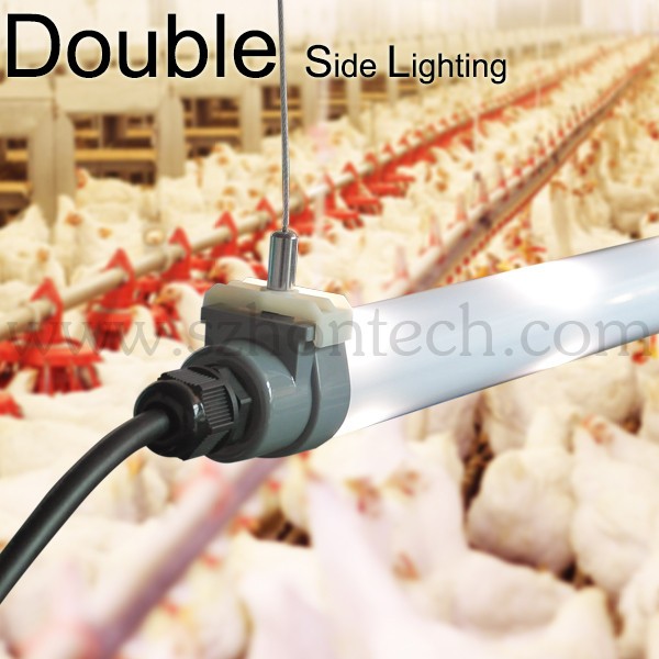 Buy Poultry Farm Lighting Chicken Farm Led Lights Coop Farm T8 T12 ...