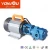 Import Power WCB75 Mini-Gear Oil Pump 20 gpm 1.5&quot; YONJOU Biodiesel Motor Fuel Transfer from China