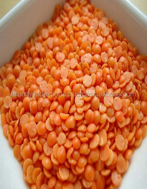 Premium Quality Best price export green red Lentils( Masoor Dal)
