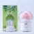 preserved fresh flower essential oil aroma diffuser ultrasonic  humidifier with 7 colors led light changing