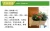 Import Price-Wise 7L / 11L Plastic Square Flower Nursery Pots from China