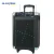 Import Private Module Delicate Design Trolley Active Speaker with LED Screen from China