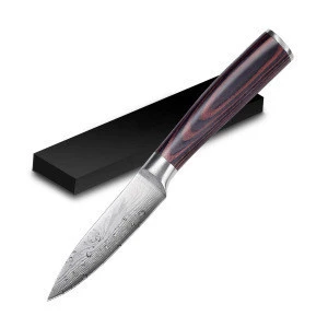 Professional Paring Knife 3.5 Inch Japanese Stainless Steel Ultra Sharp Kitchen Knives